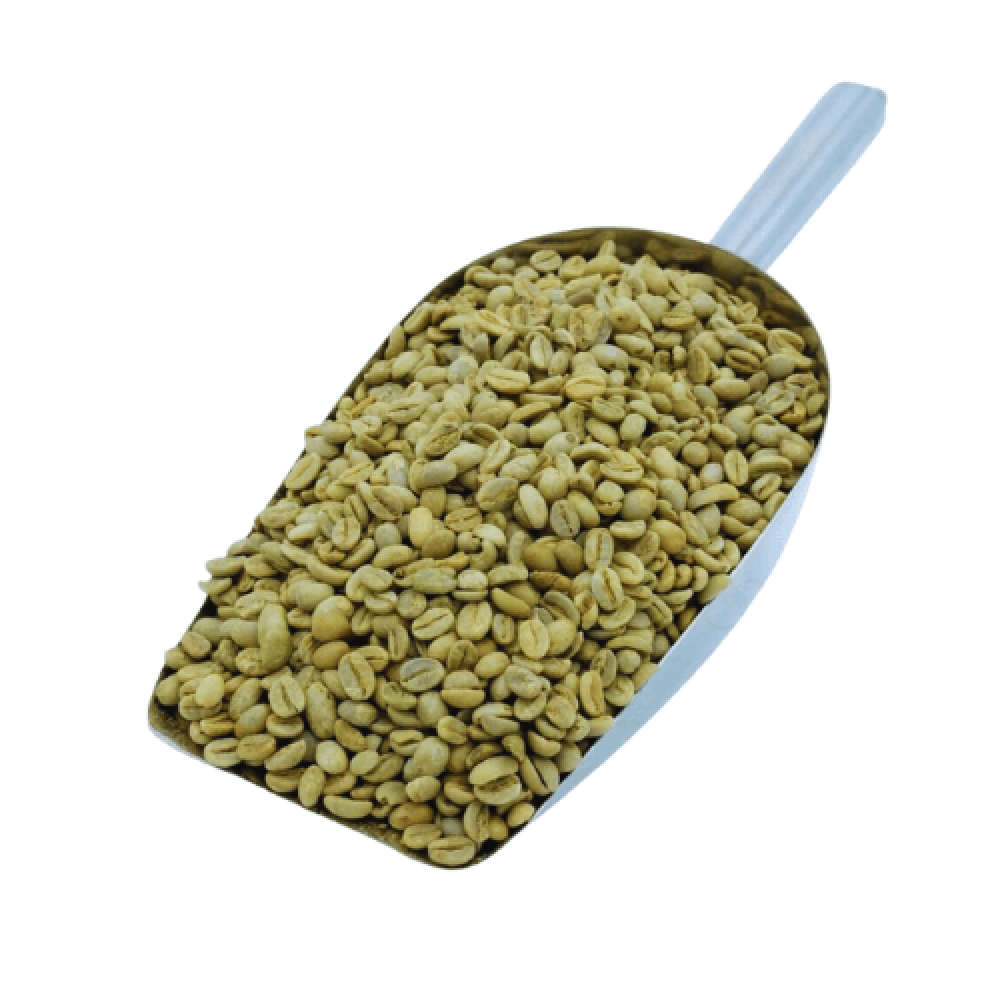 Green coffe