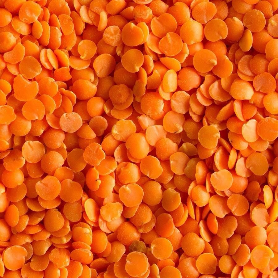 Red dal