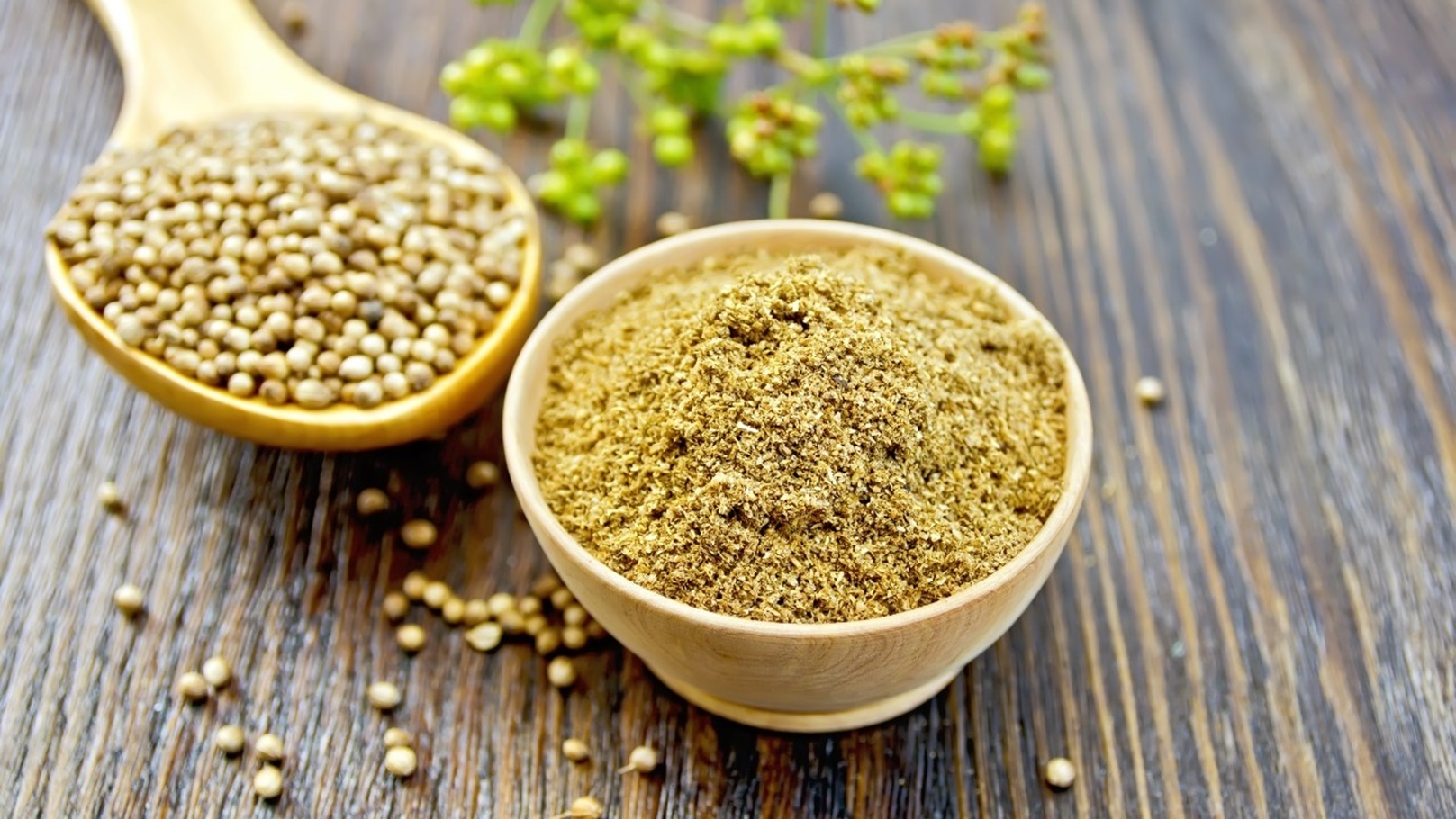 Coriander powder